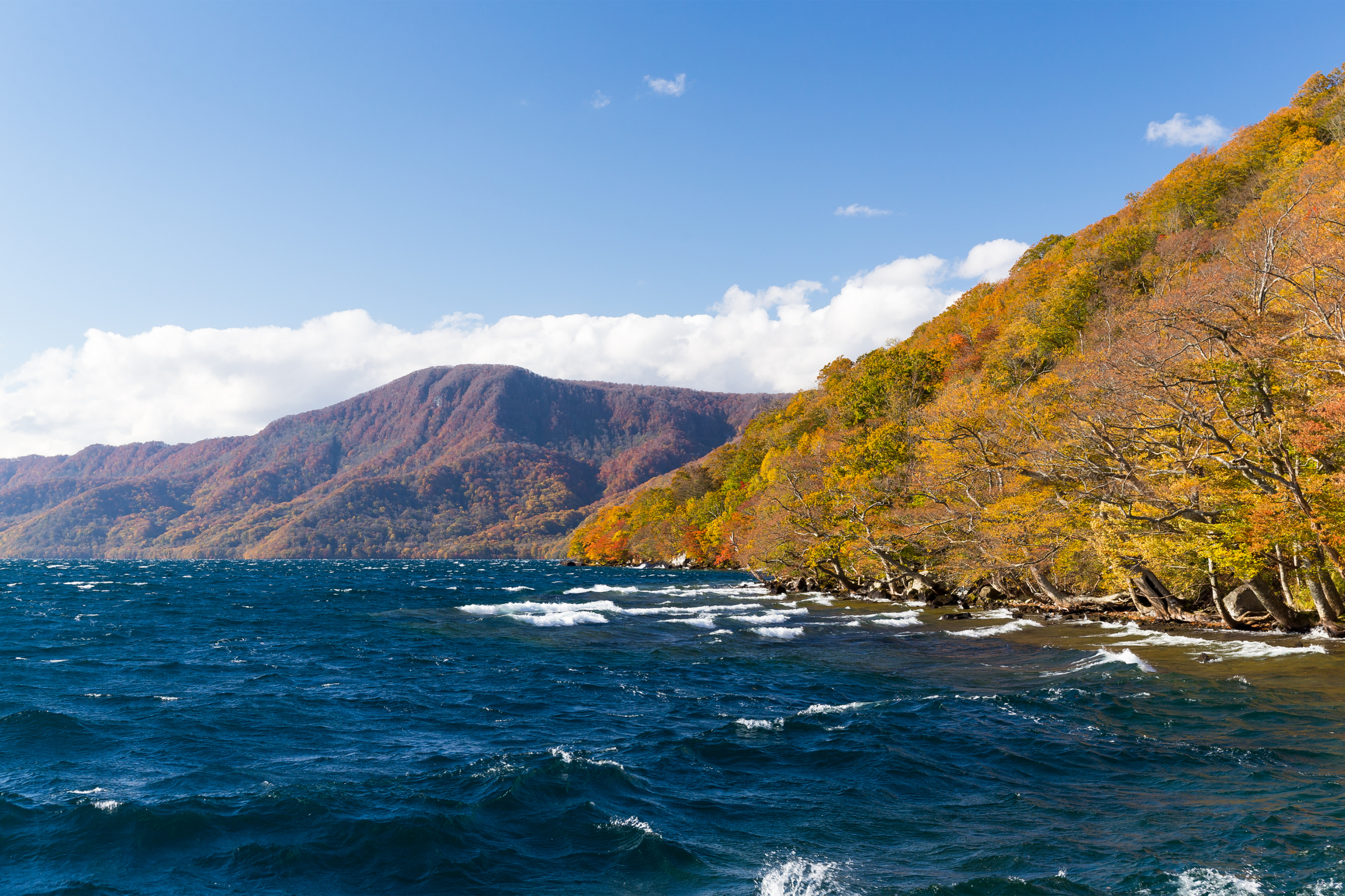 towada (2).webp